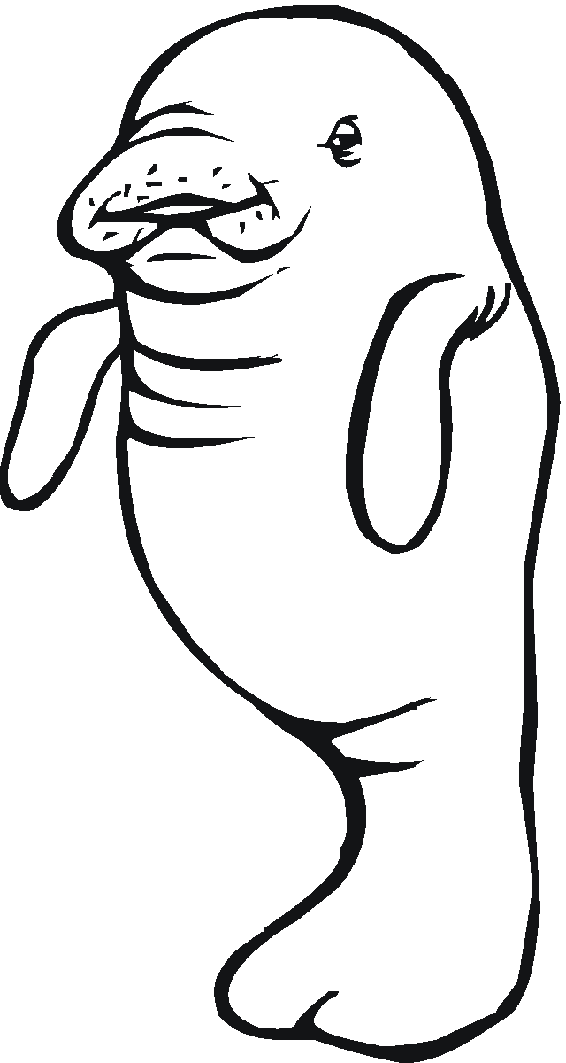 640x1200 Manatee Coloring Pages