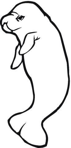230x480 Manatee Coloring Page Free Printable Coloring Pages