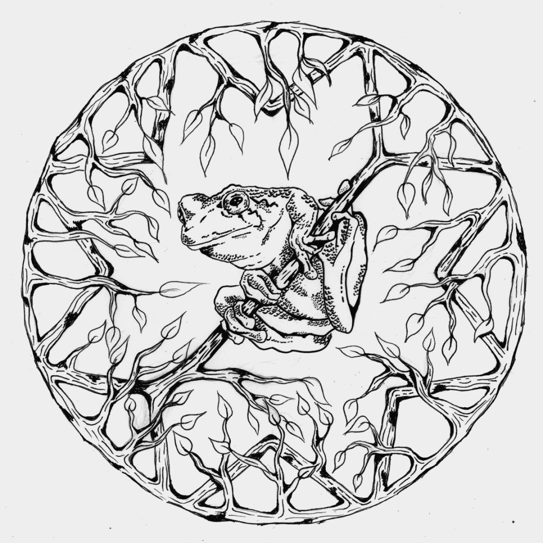 1080x1080 Inspirational Animal Mandala Coloring Pages