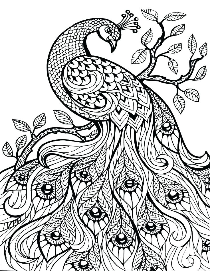 736x952 Printable Mandala Coloring Pages For Adults Mandala Coloring Pages