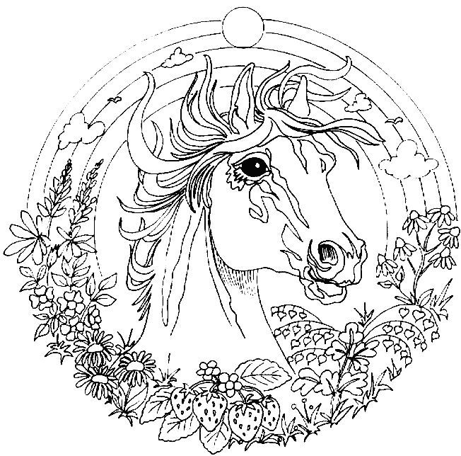 652x644 Animal Mandala Coloring Pages Printable
