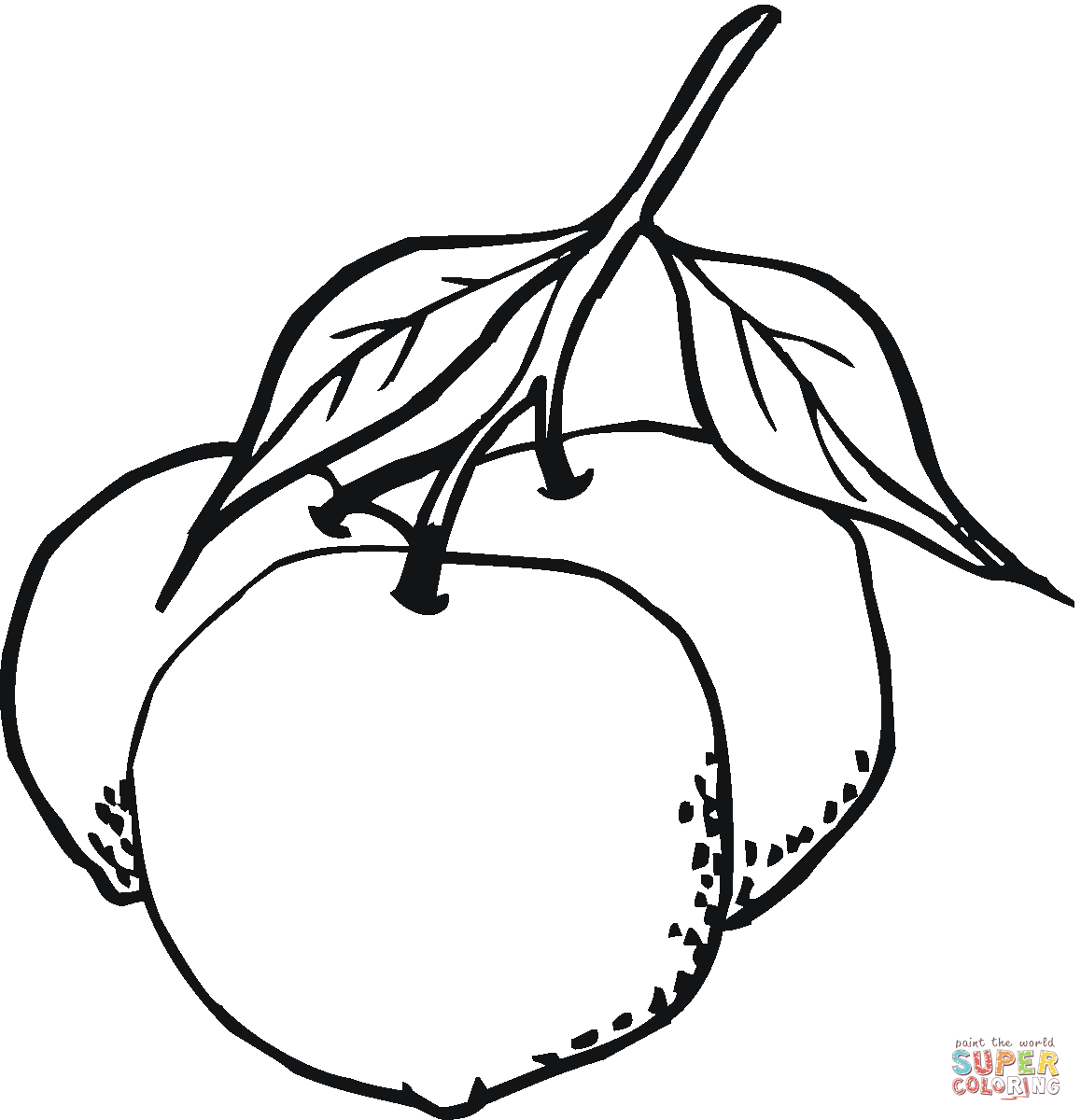 1158x1200 Oranges Coloring Page Free Printable Coloring Pages