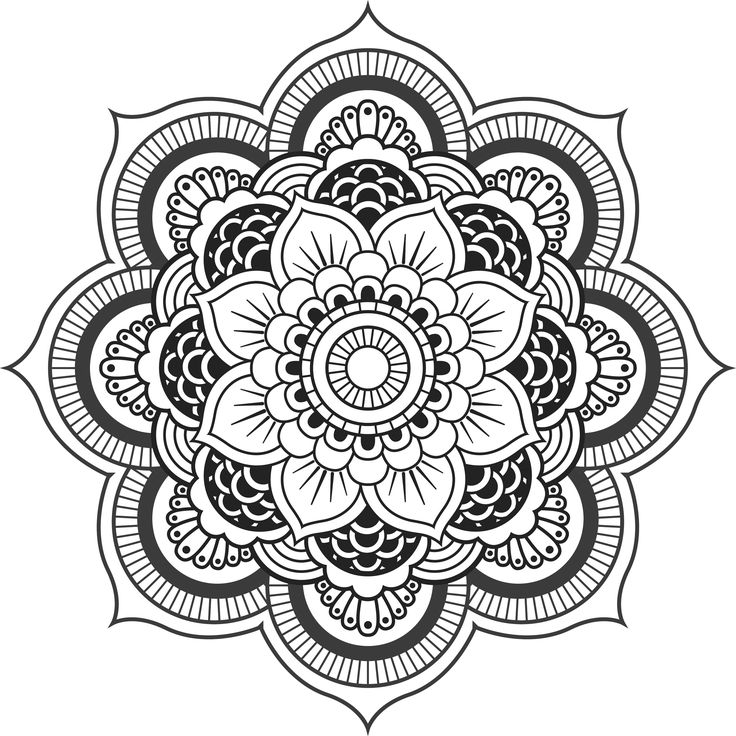 736x736 The Best Mandala Sketch Ideas On Mandals, Mandala