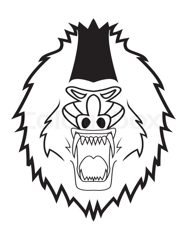 623x800 Mandrill Stock Vector Colourbox