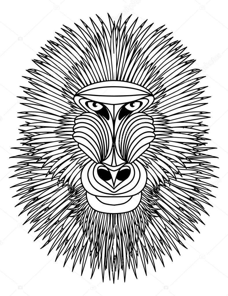 789x1023 Mandrill Stock Vector Prikhnenko