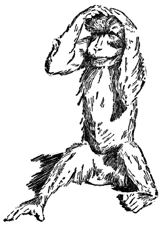 653x882 Monkey Coloring Pages