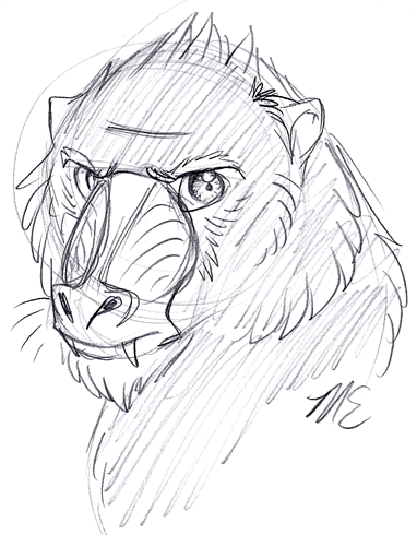 382x490 Dac 7 30 11 Mandrill By Therougecat