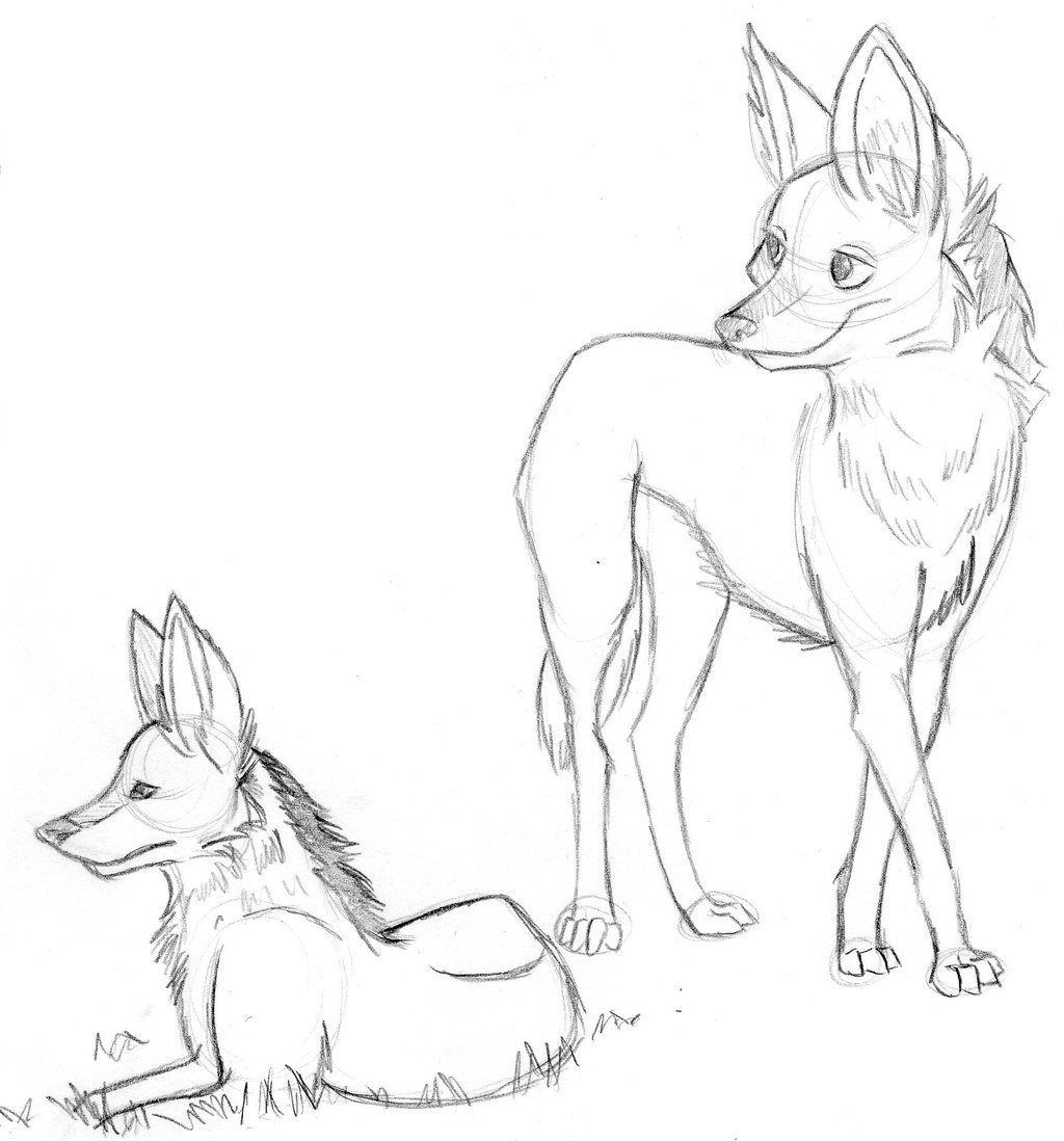 1024x1098 Maned Wolf Doodles By Toddette