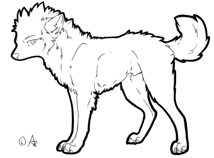 723x534 Maned Male Wolf Dog Lineart 1 By Axxread