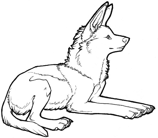 524x459 Maned Wolf Coloring Pages Anime, Type Wolf Colouring Pages