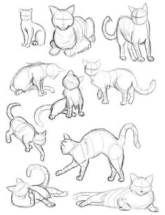 236x307 Cat Gestures By ~saraneth672 On Find More
