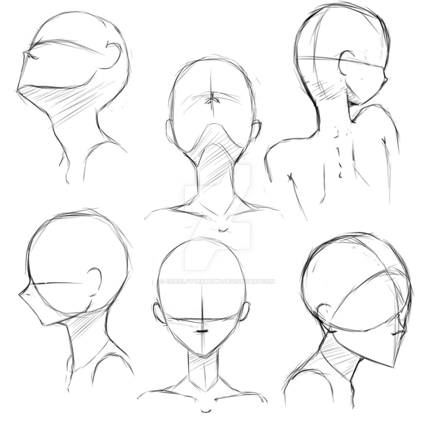 894x894 Gallery Anime Head Sketches,