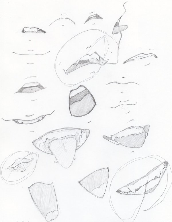 600x775 Mouthpractice Explore Mouthpractice