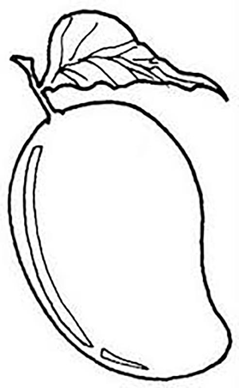 493x800 Mango Clipart Black And White
