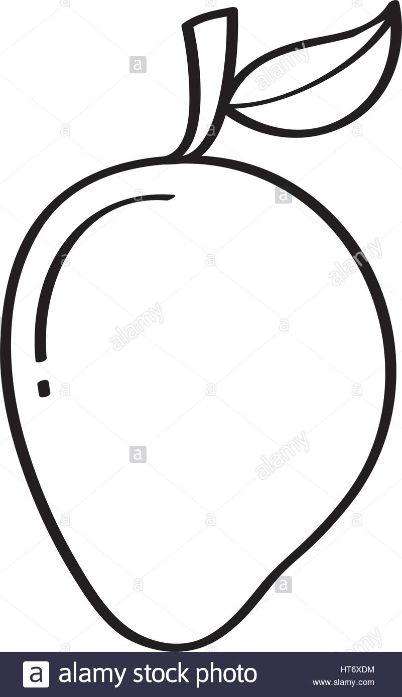 801x1390 Mango Fresh Fruit Drawing Icon Stock Vector Art Amp Illustration