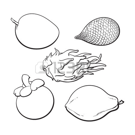 450x450 Mango And Papaya Stock Photos. Royalty Free Business Images