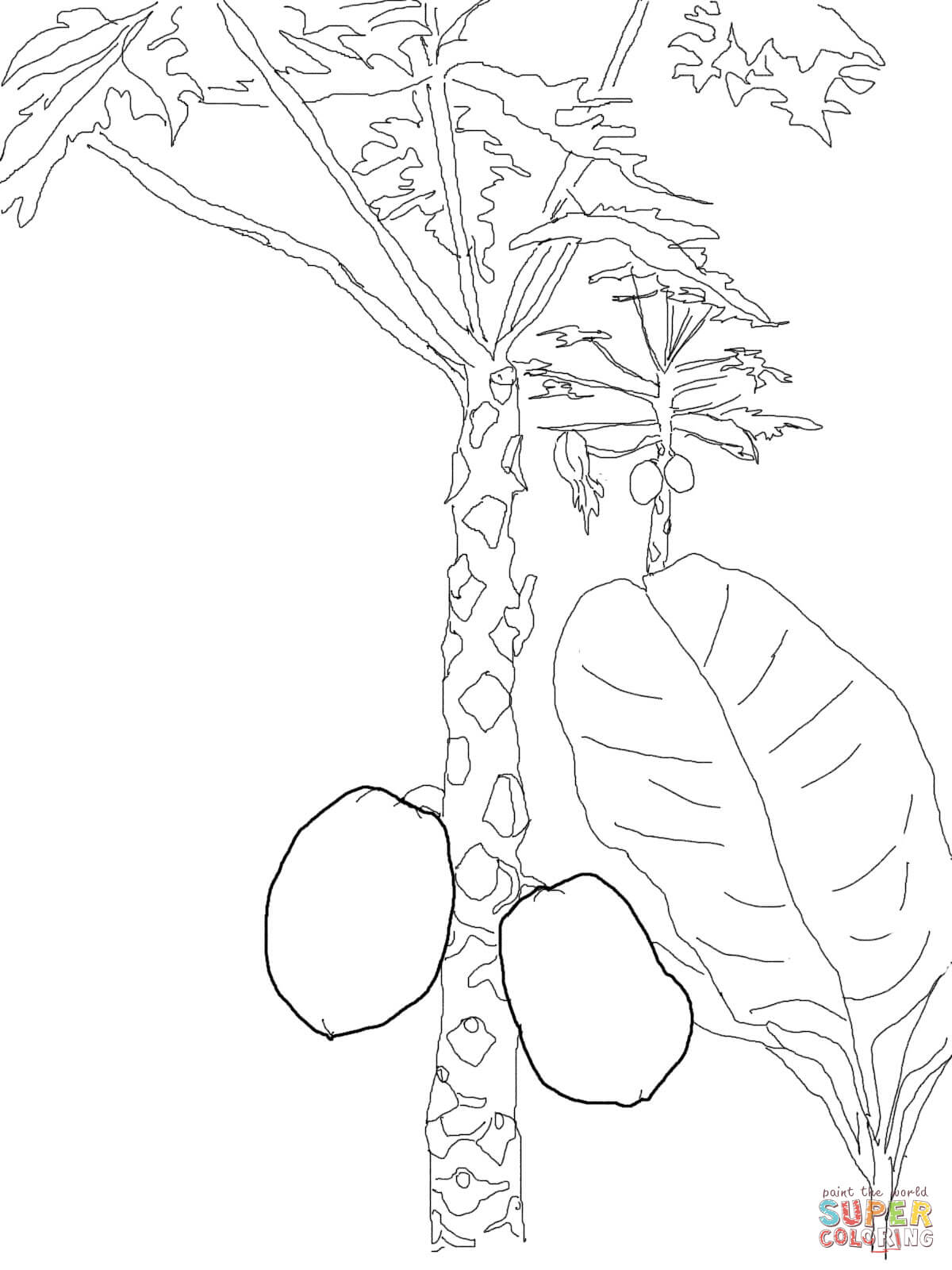 1200x1600 <b>Mango</b> Tree Coloring Page Free Printable Coloring Pages.