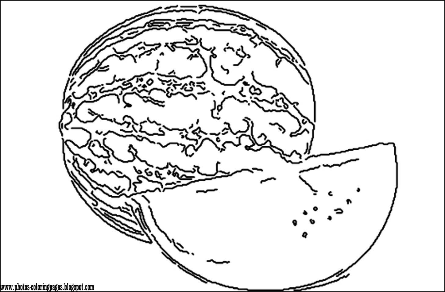 1458x958 The Cartoon Coloring Pages Photos Coloring Page Of Most Common Fruits