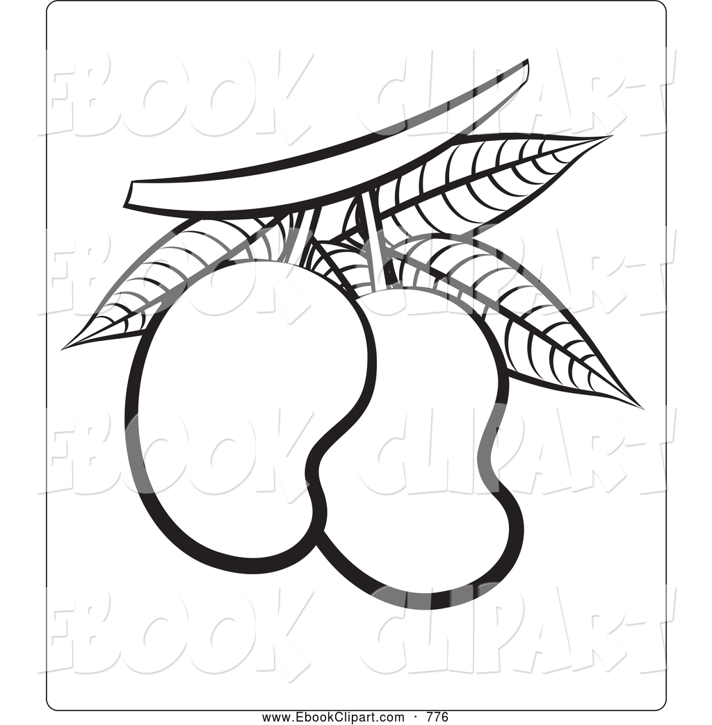 1024x1044 Mango Drawing Black And White