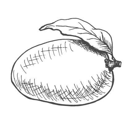 434x397 Alphonso Mango Amp Passion Fruit 125g Daffodil Foods Welsh