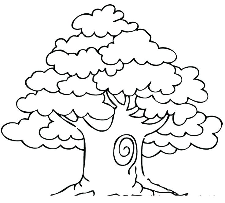 736x666 Coloring Pages Of Trees Awesome Drawing Oak Tree Coloring Page