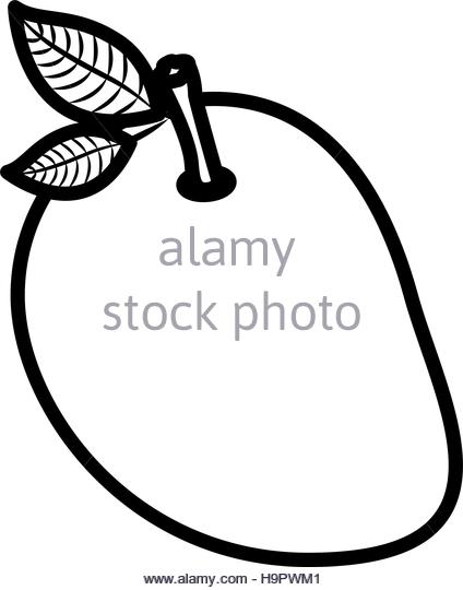 424x540 Mango Black And White Stock Photos Amp Images