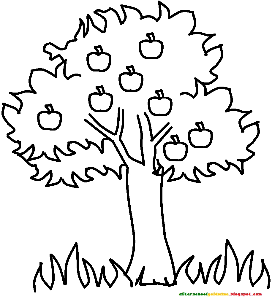 916x1008 Coloring Pages Of Fruit Trees Mango Tree Coloring Pages Designs