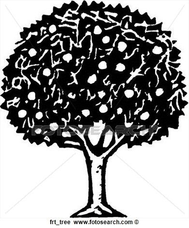 391x470 Nice Black White Images Of Mango Mango Tree Clipart Black