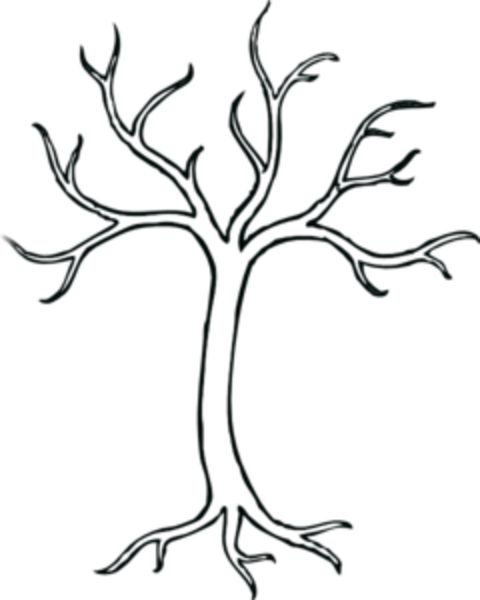 480x600 Tree Drawing