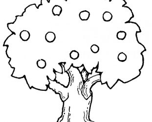 311x250 Tree Outline Image. Images For Mango Drawing Outline. Mango
