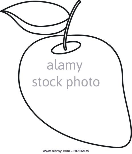 463x540 Mango Illustration Stock Photos Amp Mango Illustration Stock Images