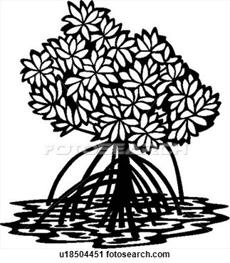 323x370 Mangroves Stencils