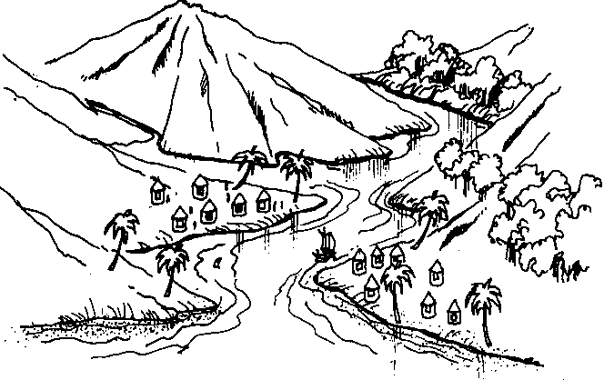 664x418 4.2 Mangroves