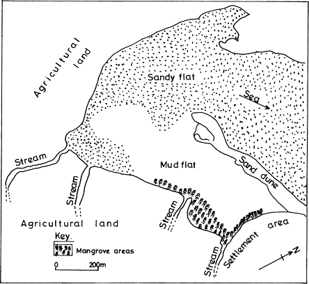 444x408 Leaf Phenological Traits In The Mangrove Kandelia Candel (L