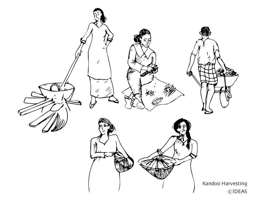 874x673 Of Famine And Food Security A Story From Kelaa's Kandoofaa