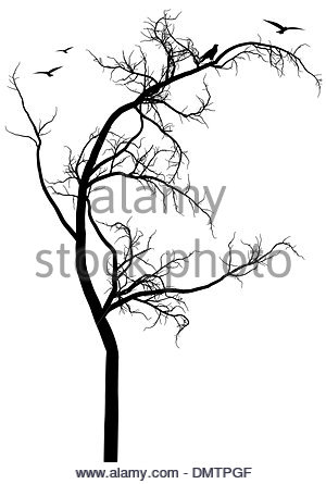 300x445 Black Tree, Vector Stock Vector Art Amp Illustration, Vector Image