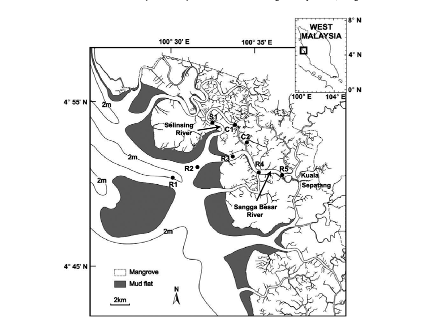 850x635 Collection Sites Of Blood Cockles In The Matang Mangrove Forest