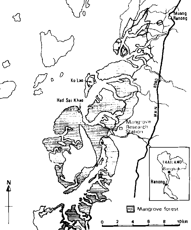 669x804 Man In The Mangroves The Socio Economic Situation Of Human