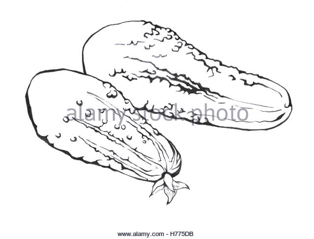 640x487 Pencil Roots Stock Photos Amp Pencil Roots Stock Images