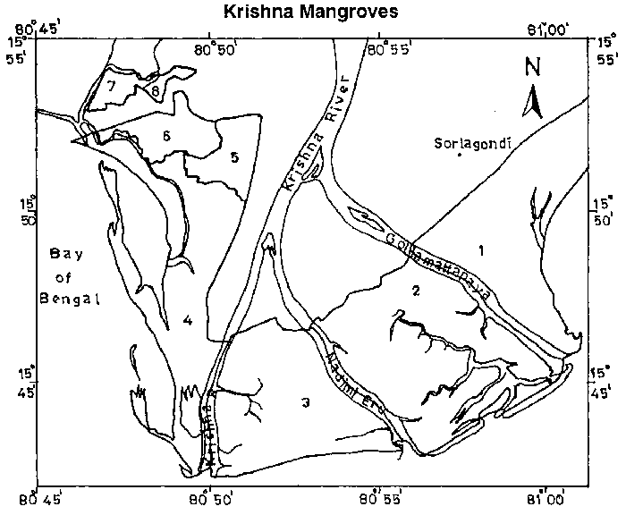 700x576 Proceedings Of The Regional Workshop On Forests For Poverty