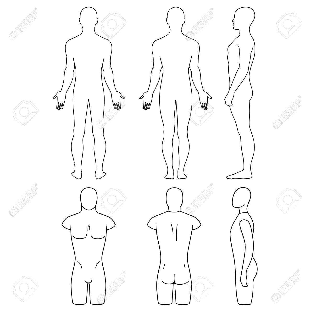 1300x1300 Male Mannequin Outlined Torso (Front, Back, Side View). Vector