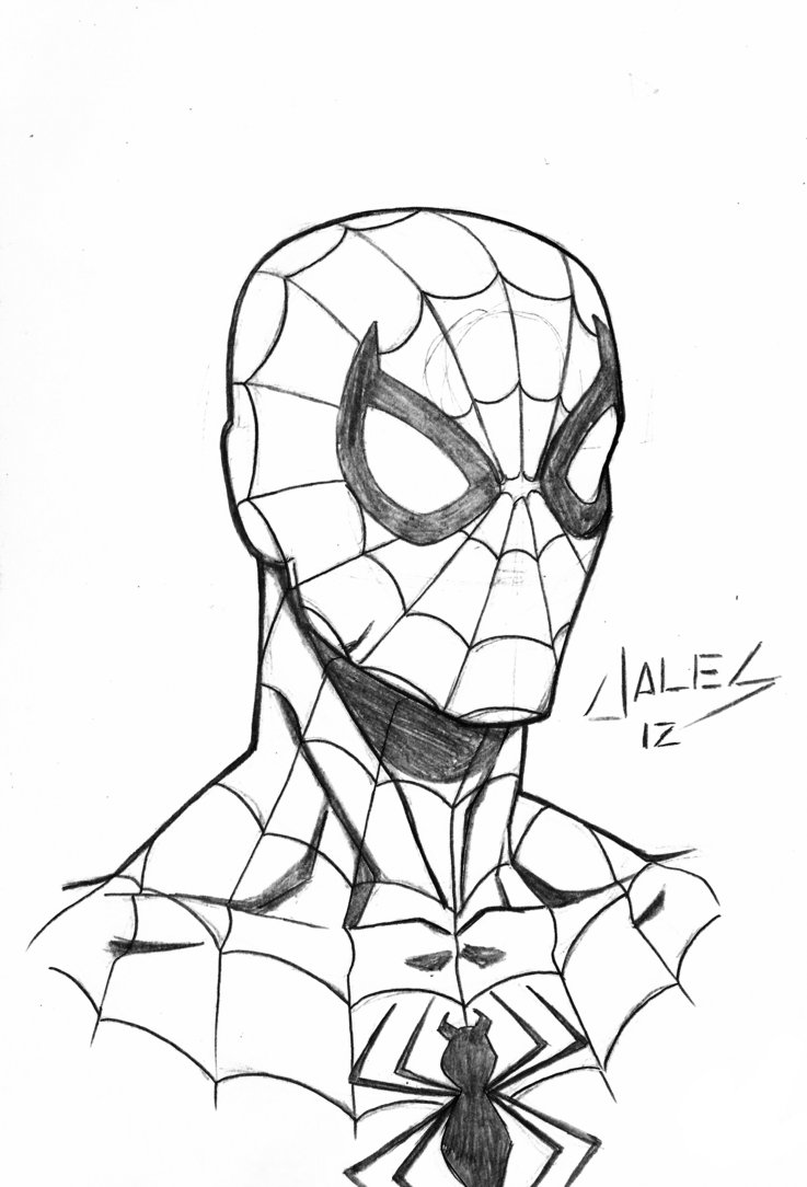 737x1084 Spider Man Face By Robertojales