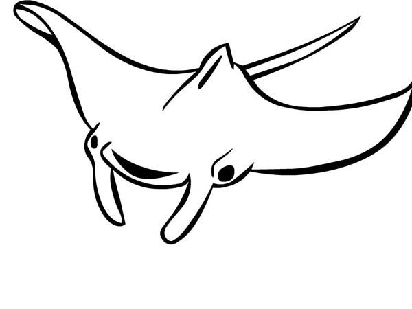 600x450 Manta Ray Coloring Page Coloring Page For Kids