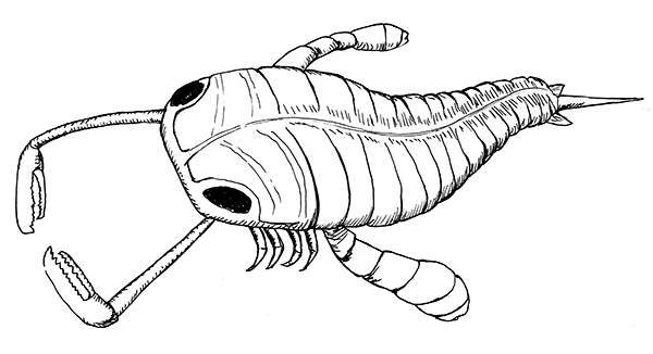 600x326 Evolution Illustrations On Behance