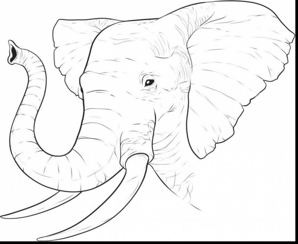 1126x925 Outstanding Elephant Face Drawing With Africa Coloring Pages