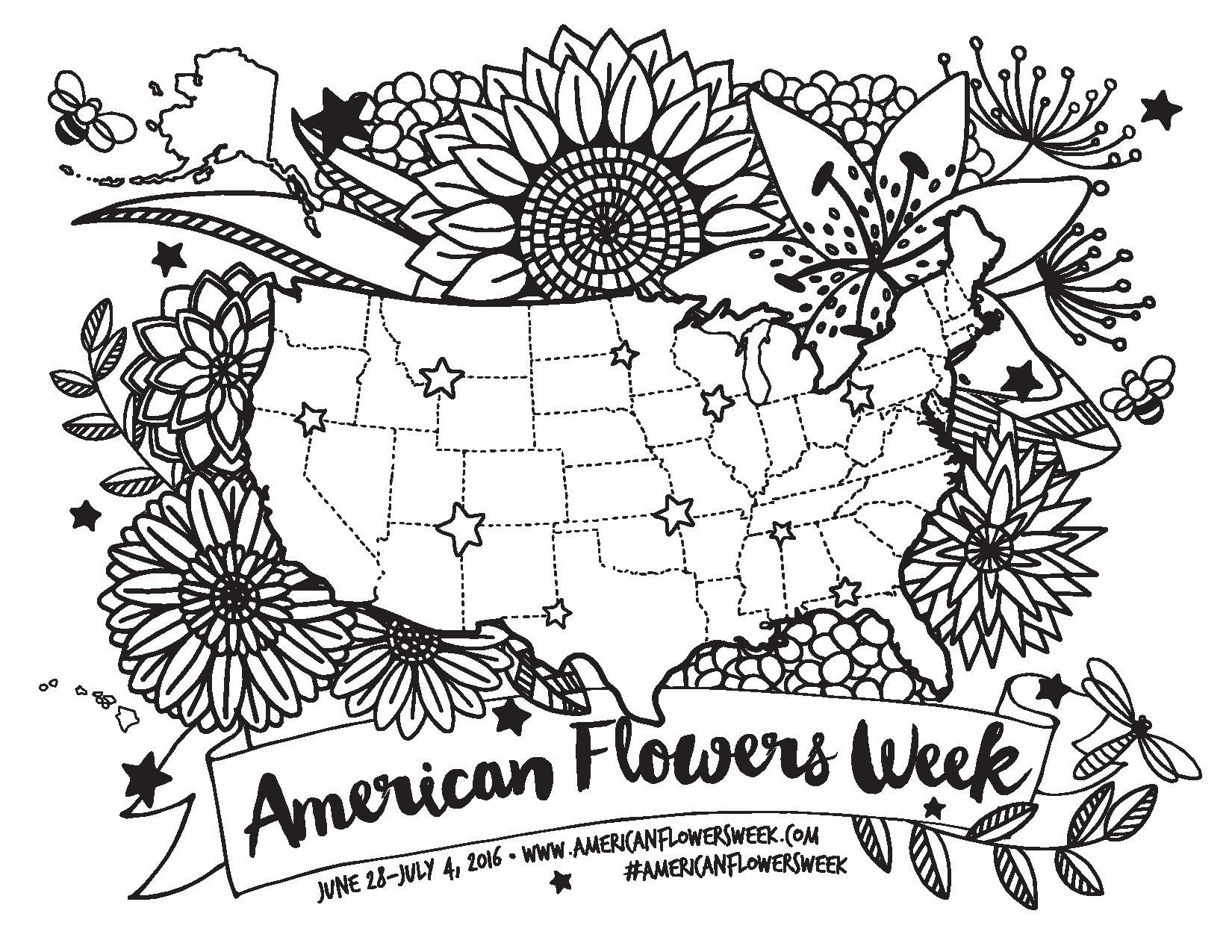1650x1275 Usa Floral Coloring Map American Flowers Week