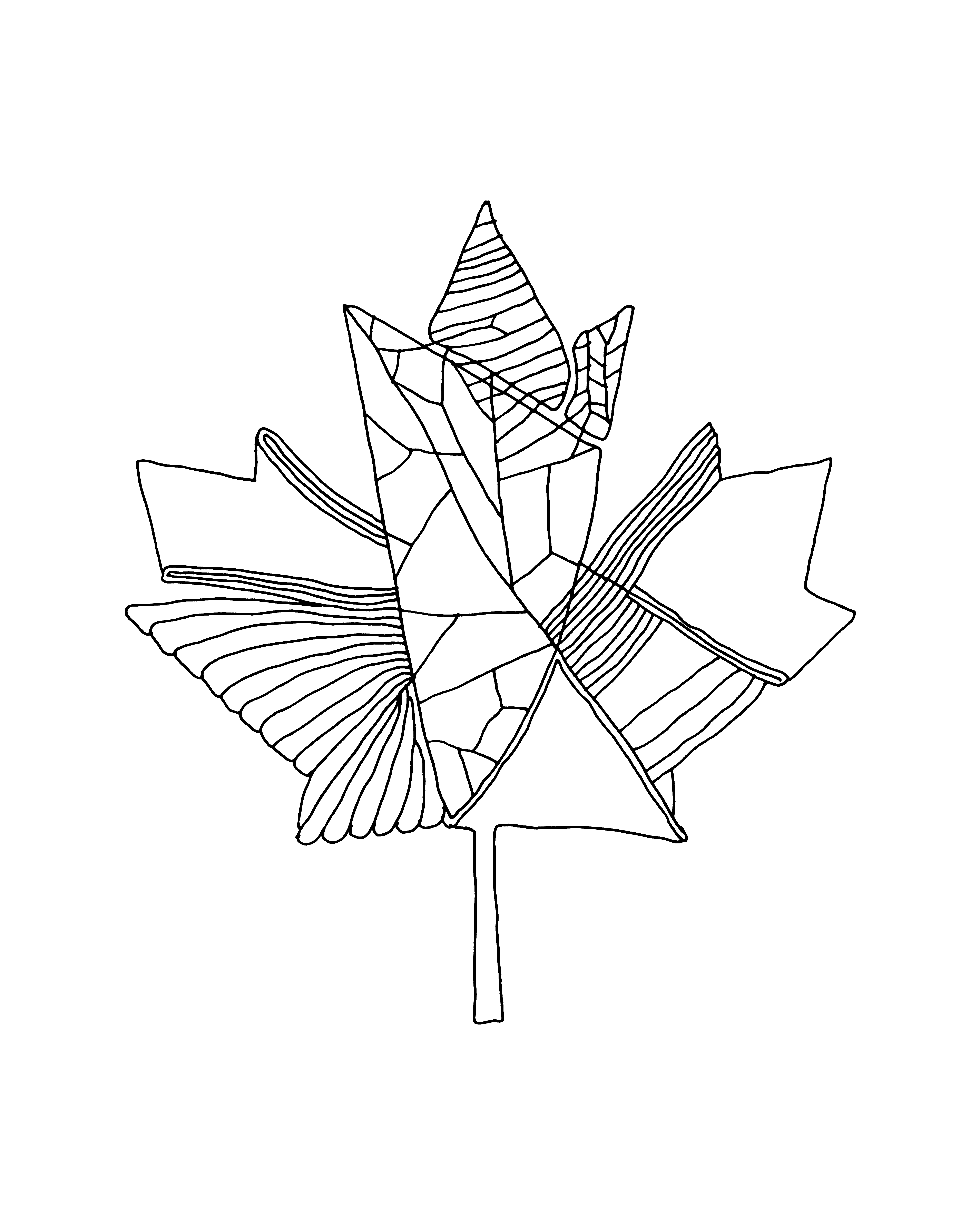4800x6000 10,000 Pages Canadian Maple Leaf Colouring Page 5883