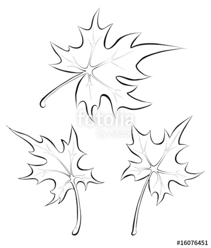 424x500 Vector Maple Leaves. Freehand Drawing. Stock Image And Royalty