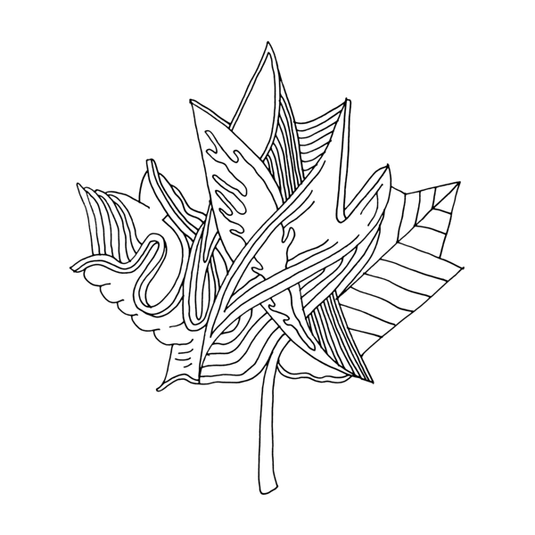 600x600 Canadian Maple Leaf Colouring Page With Abstract Drawing In Mind