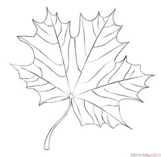 236x229 Draw A Maple Leaf Leaves, Doodles And Drawings